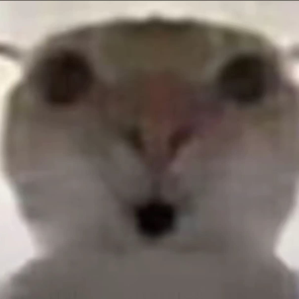曼波